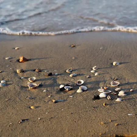 Apartamento For Your Getaway Near The Beach-beahost *